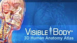 3D Visible Body Anatomi Atlası ve Biyoloji Atlası Deneme Erişimi